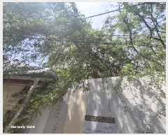  2025Ÿ��102333 ���� ���α� ȿ���� 245-20       ����(����)���