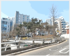  2025Ÿ102427  ۱ 1 519-1 Ʈ 4407ȣ     ǽڰ