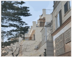  2025Ÿ102443  ʱ ʵ 1617-19 Ŭ1 4404ȣ     ټ,