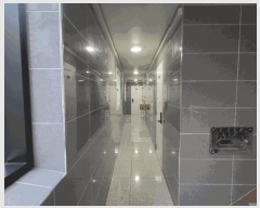  2025Ÿ��102597 ���� ���۱� �Ŵ�浿 689       �ܵ�����,�����ð��