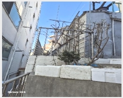  2025Ÿ��100266 ���� ���α� â�ŵ� 23-566       ����(����)���