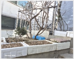  2025Ÿ��100266 ���� ���α� â�ŵ� 23-566       ����(����)���