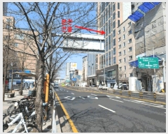  2025Ÿ102200  Ǳ Ÿ 1568-5 ϰũ 9906ȣ     ǽڰ