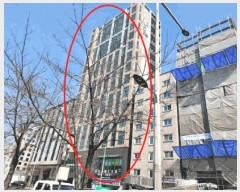  2025Ÿ102200  Ǳ Ÿ 1568-5 ϰũ 9906ȣ     ǽڰ