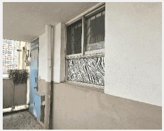  2025Ÿ��102223 ���� ���Ǳ� �Ÿ��� 1656 �̼�����Ʈ 1�� 9��916ȣ    ����Ʈ���