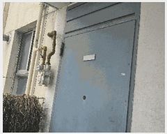  2025Ÿ��102223 ���� ���Ǳ� �Ÿ��� 1656 �̼�����Ʈ 1�� 9��916ȣ    ����Ʈ���