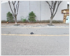  2025Ÿ��102441 ���� ���۱� �󵵵� ��64-20       ����(�Ӿ�)���