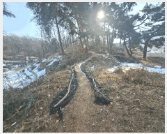  2025Ÿ101726  ʱ  23-1       (1)