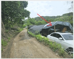  2025Ÿ102817   ڰ 215       ()