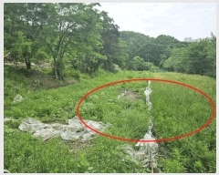  2025Ÿ102817   ڰ 215       ()