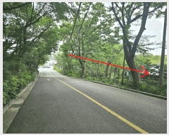  2025Ÿ102817   ڰ 215       ()