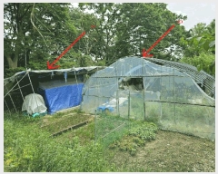  2025Ÿ102817   ڰ 215       ()