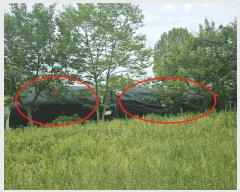  2025Ÿ102817   ڰ 215       ()