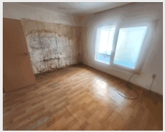  2025Ÿ��103301  �ټ���(����)���