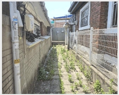  2025Ÿ��236  ���ð��