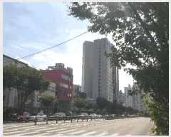  2025Ÿ��2584  ���ǽ��ڰ��