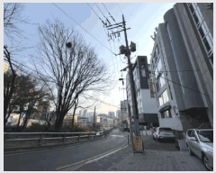  2025Ÿ102446  ۱ 1 519-1 Ʈ 9904ȣ     ټ,