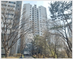  2025Ÿ102553  Ǳ õ 1717 Ǫ 105 1106ȣ    Ʈ