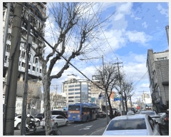  2025Ÿ102161  Ǳ Ÿ 1474-15 ߿߰ 121207ȣ     ǽڰ