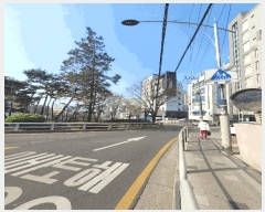  2025Ÿ102431  ۱ 1 519-1 Ʈ 6602ȣ     ǽڰ