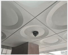  2025Ÿ��102487  �ټ���(����)���