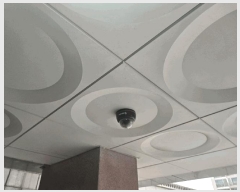  2025Ÿ��102487  �ټ���(����)���