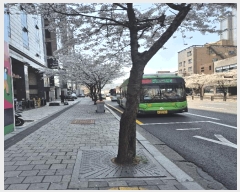  2025Ÿ��102505 ���� ���Ǳ� �Ÿ��� 1568-5 �����ϰ�����ũ�� 8��807ȣ     ���ǽ��ڰ��