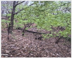  2025Ÿ��102610  �������