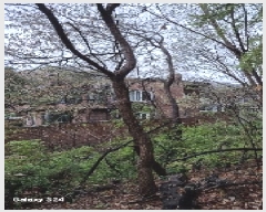  2025Ÿ��102610  �������