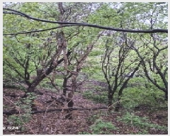  2025Ÿ��102610  �������