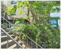  2025Ÿ��102667 ���� ���α� ���⵿ 50-31 ������101ȣ      �ټ���,������