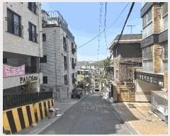  2025Ÿ��102771 ���� ���Ǳ� �Ÿ��� 98-249 �ȷν�22 1�� 1��202ȣ    �ټ���,������