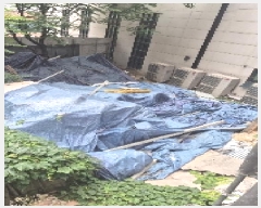  2025Ÿ��102796  �������