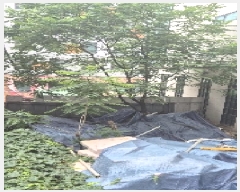  2025Ÿ��102796  �������