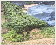  2025Ÿ��102796  �������