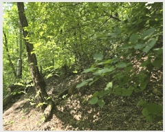  2025Ÿ��103077 ���� ���α� ���⵿ 134-8       ����(��1)���