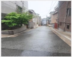  2025Ÿ��260  ���ΰ��