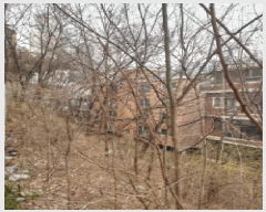  2025Ÿ��51158  �Ӿ߰��