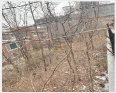  2025Ÿ��51158  �Ӿ߰��