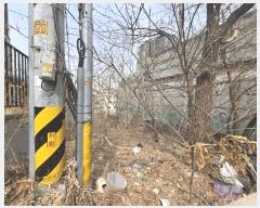  2025Ÿ��51158  �Ӿ߰��