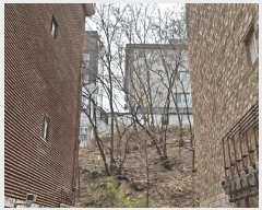  2025Ÿ��51158  �Ӿ߰��