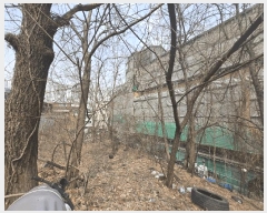  2025Ÿ��51158  �Ӿ߰��