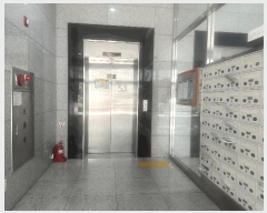  2025Ÿ��51291 ���� ������ �浿 387-5 �浿û���÷�����ť��1�� 13��1306ȣ     ����Ʈ���