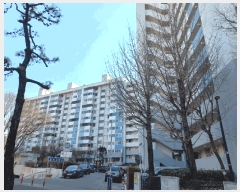  2025Ÿ50692   Ȳ 211, 201 101005ȣ     Ʈ