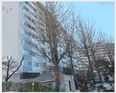  2025Ÿ50692   Ȳ 211, 201 101005ȣ     Ʈ