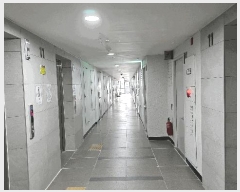  2025Ÿ51052   ϵ 46-3  111129ȣ     ǽڰ