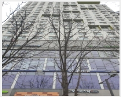  2025Ÿ51052   ϵ 46-3  111129ȣ     ǽڰ