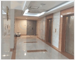  2025Ÿ��51300  ����Ʈ���