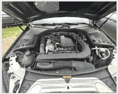  2025Ÿ��51638  �������