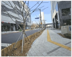  2025Ÿ��240 ���� ���ı� �ſ��� 603-1 �����ֿ��ǽ���  1��101ȣ    ��,�繫�ǰ��